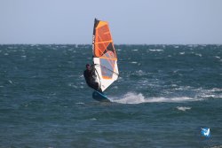 20221105-Franqui--091.JPG
