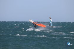 20221105-Franqui--097.JPG
