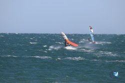 20221105-Franqui--098.JPG