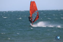 20221105-Franqui--117.JPG