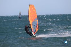 20221105-Franqui--122.JPG