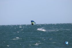 20221105-Franqui--129.JPG