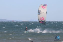 20221105-Franqui--131.JPG