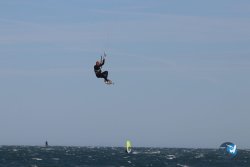20221105-Franqui--133.JPG