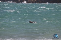 20221105-Franqui--134.JPG