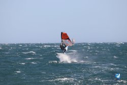 20221105-Franqui--139.JPG
