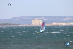 20221105-Franqui--141.JPG