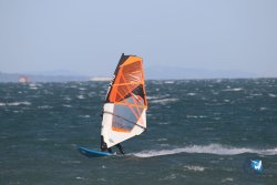 20221105-Franqui--145.JPG