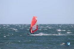 20221105-Franqui--146.JPG