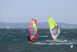 20221105-Franqui--151.JPG