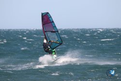 20221105-Franqui--170.JPG