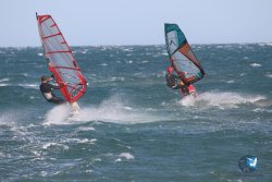 20221105-Franqui--176.JPG