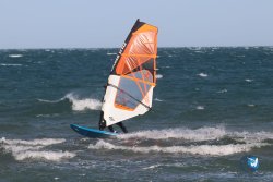 20221105-Franqui--179.JPG
