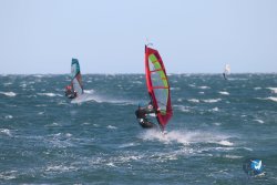 20221105-Franqui--207.JPG