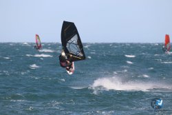 20221105-Franqui--209.JPG