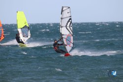 20221105-Franqui--214.JPG