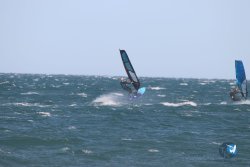 20221105-Franqui--222.JPG