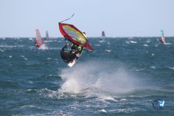 20221105-Franqui--233.JPG