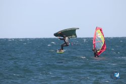 20221105-Franqui--238.JPG
