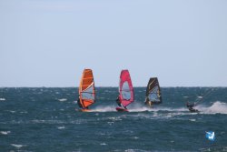 20221105-Franqui--242.JPG