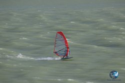 20221112-Ganguise-037.JPG