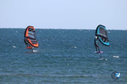 20221120-Franqui-wing-005.JPG