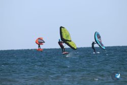 20221120-Franqui-wing-006.JPG