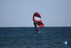 20221120-Franqui-wing-007.JPG