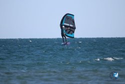 20221120-Franqui-wing-015.JPG