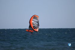 20221120-Franqui-wing-016.JPG