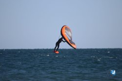 20221120-Franqui-wing-017.JPG
