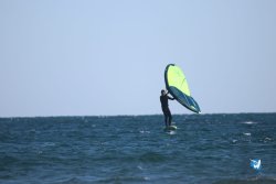 20221120-Franqui-wing-023.JPG