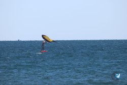 20221120-Franqui-wing-030.JPG