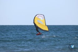 20221120-Franqui-wing-034.JPG