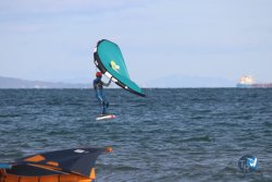 20221120-Franqui-wing-045.JPG