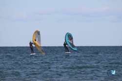 20221120-Franqui-wing-049.JPG