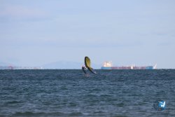 20221120-Franqui-wing-052.JPG