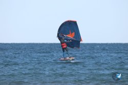 20221120-Franqui-wing-053.JPG