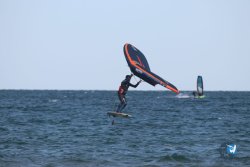 20221120-Franqui-wing-056.JPG
