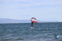20221120-Franqui-wing-057.JPG