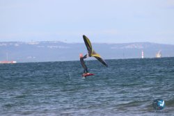 20221120-Franqui-wing-060.JPG