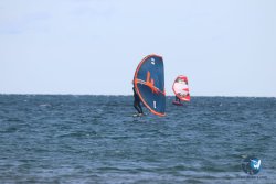 20221120-Franqui-wing-066.JPG