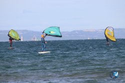 20221120-Franqui-wing-070.JPG