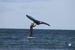 20221120-Franqui-wing-071.JPG