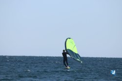 20221120-Franqui-wing-078.JPG