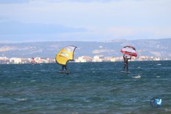 20221120-Franqui-wing-095.JPG
