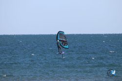 20221120-Franqui-wing-111.JPG