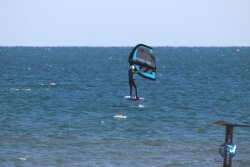 20221120-Franqui-wing-116.JPG