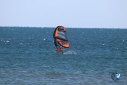 20221120-Franqui-wing-121.JPG