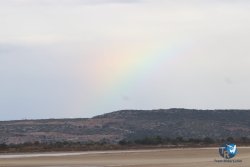20221125-Franqui-004.JPG